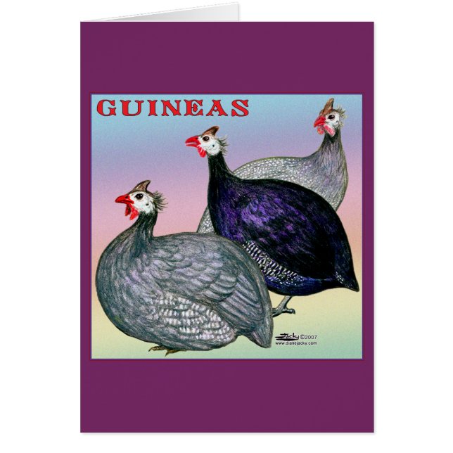 Cartão Guineas Three Fowl (Frente)