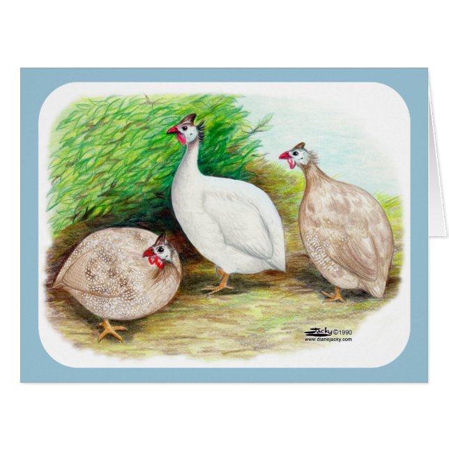 Cartão Guineense Fowl Outside (Frente horizontal)