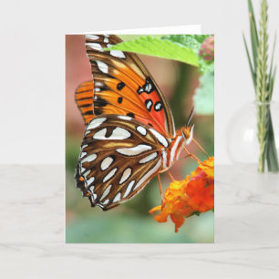 Cartão Gulf Fritillary Butterfly