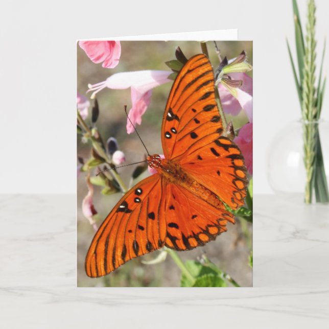 Cartão Gulf Fritillary Butterfly Notecard (Frente)