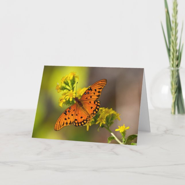 Cartão Gulf Fritillary também conhecida como Borboleta da (Frente)
