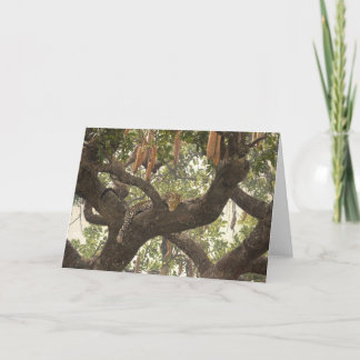 Cartão Guy Combes Wildlife Art Greeting Cards