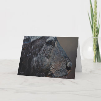 Cartão Guy Combes Wildlife Art Greeting Cards