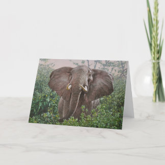 Cartão Guy Combes Wildlife Art Greeting Cards