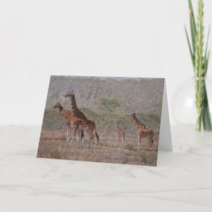 Cartão Guy Combes Wildlife Art Greeting Cards