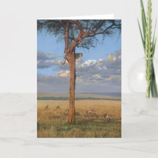 Cartão Guy Combes Wildlife Art Greeting Cards