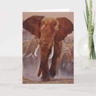 Cartão Guy Combes Wildlife Art Greeting Cards