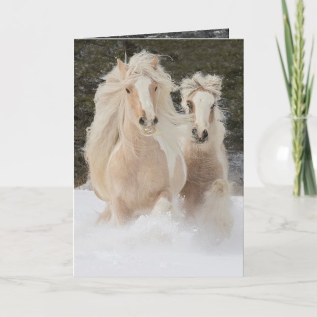 Cartão Gypsy Mare and Foal Run Horse Greeting Card (Frente)
