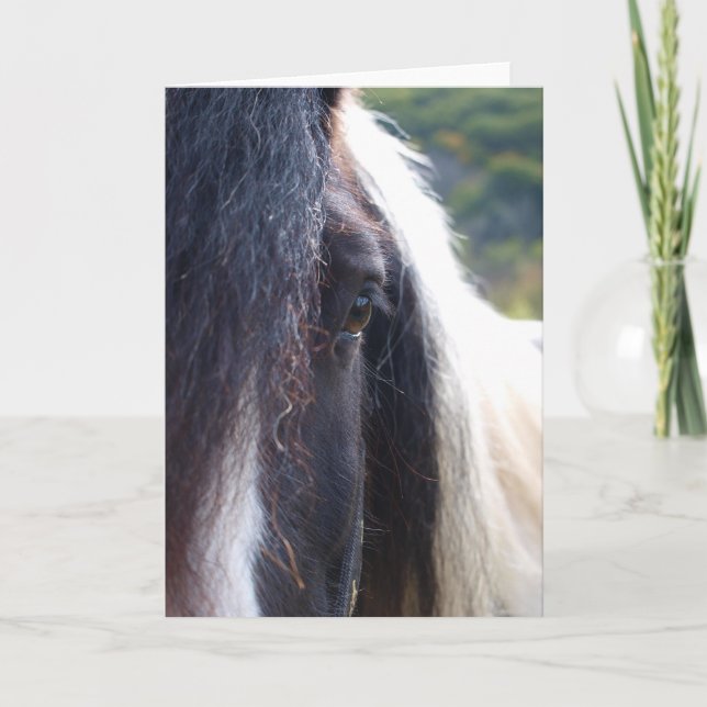 Cartão Gypsy Vanner Notecard (Frente)