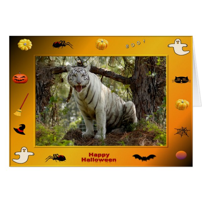 Cartão h-218-zabu (Frente Horizontal)