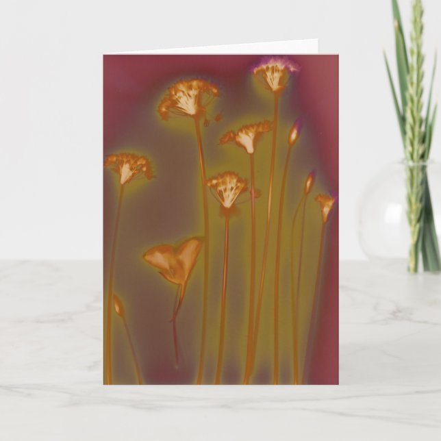 Cartão H.A.S. Arts greeting card, image Lough detail (Frente)