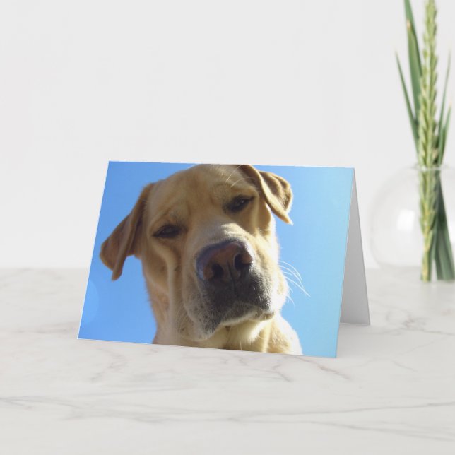 Cartão Hã? (Frente)