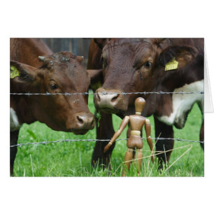 Cartão Hã? O que é isso?