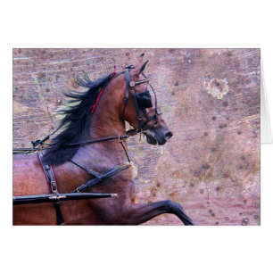 Cartão Hackney Grunge