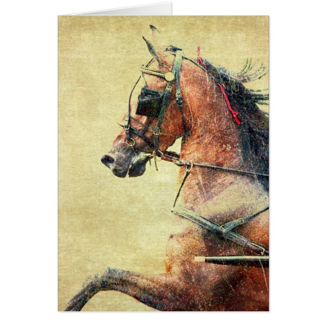 Cartão Hackney Pony (Frente)