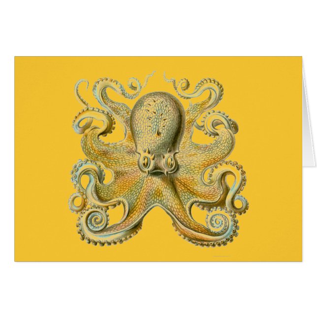 Cartão Haeckel Octopus (Frente Horizontal)