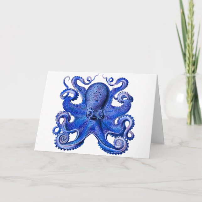 Cartão Haeckel Octopus Blue (Frente)