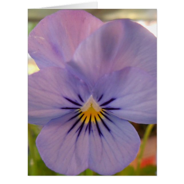 Cartão Haetzlern (Frente)