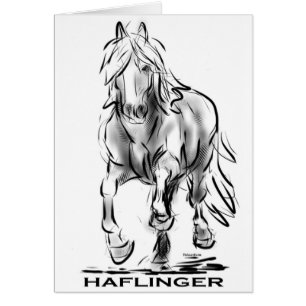 Cartão Haflinger