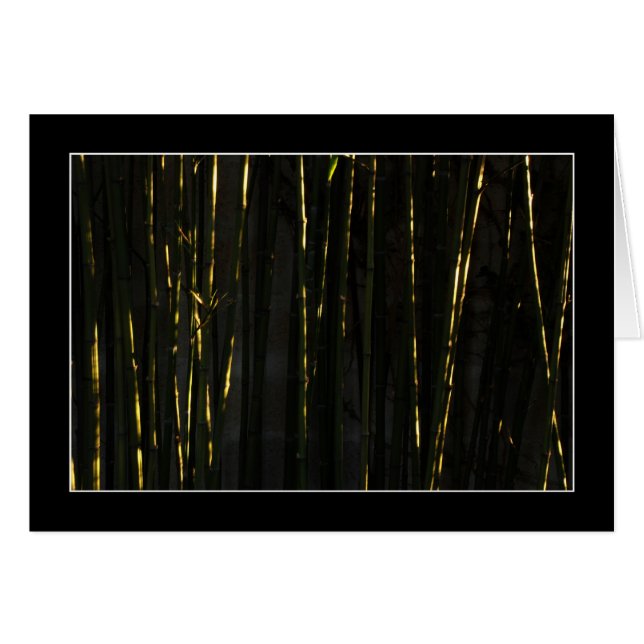 Cartão HAIKU (Frente Horizontal)