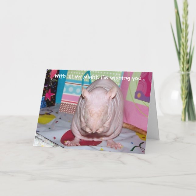 Cartão Hairless Pet Rat Birthday Card (Frente)