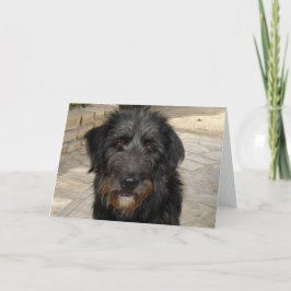 Cartão Hairy Black Dog Face