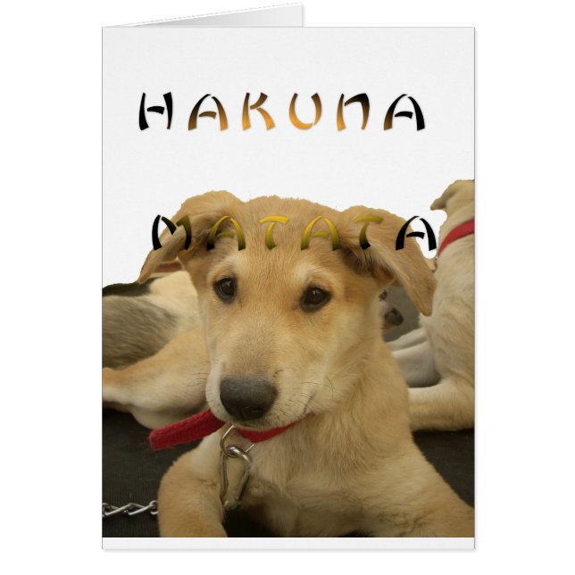 Cartão Hakuna Matata Eu sei o que você está pensando (Frente)