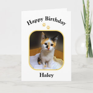 Cartão Haley Calico Kitten Feliz Aniversário