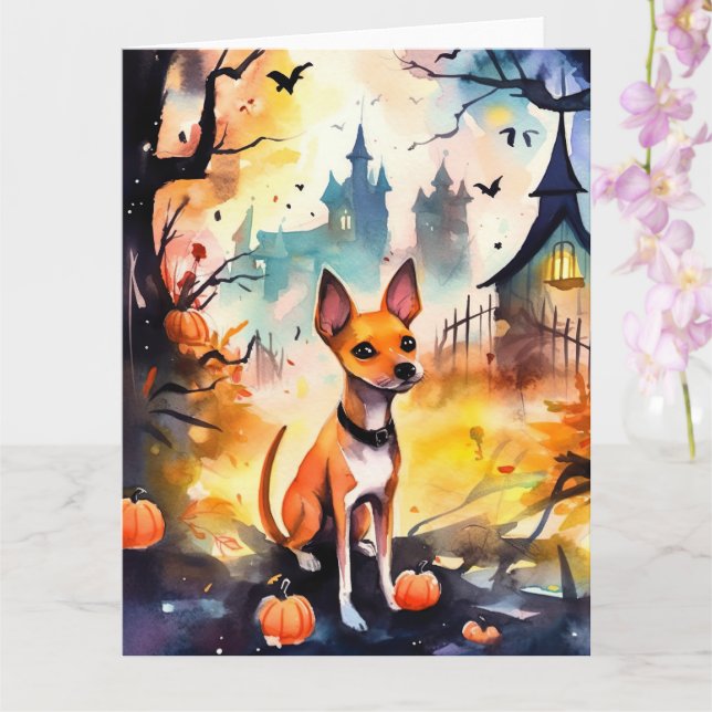 Cartão Halloween Basenji Com Abóboras Assustador  (Orquídea)