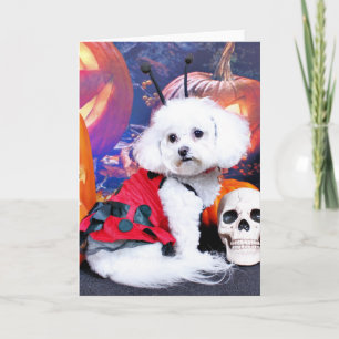 Cartão Halloween - Bichon Frise - Mia