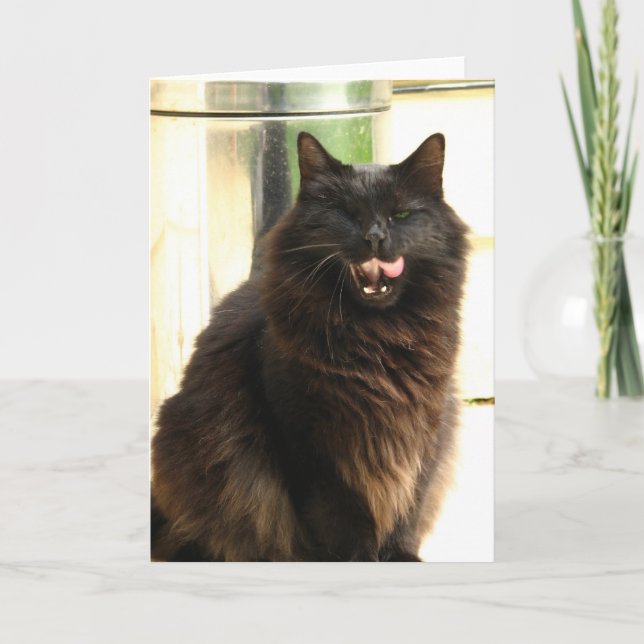 Cartão Halloween- Black Cat With One Eye (Frente)