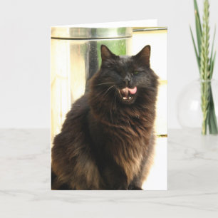 Cartão Halloween- Black Cat With One Eye