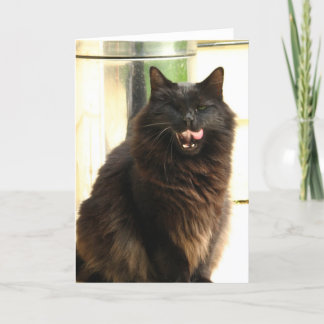 Cartão Halloween- Black Cat With One Eye