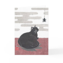 Halloween, Cat, Aranha