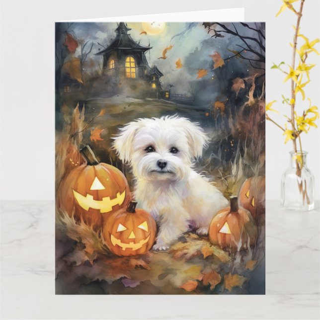 Cartão Halloween Coton De Tulear Com Abóboras Assustador (Flor Amarela)