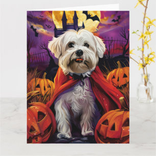 Cartão Halloween Coton De Tulear Vampiro Pumpkins Assusta