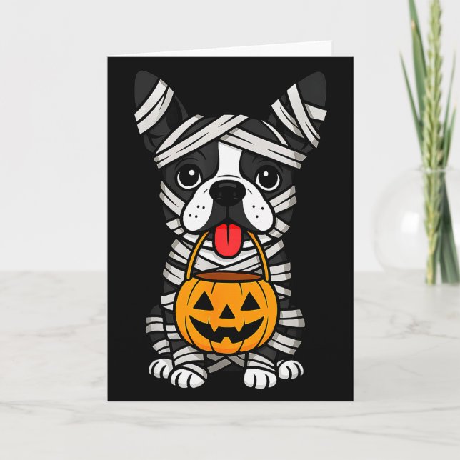 Cartão Halloween Dog Boston Terrier Mummy Costume Men Wom (Frente)