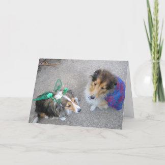 Cartão Halloween Dogs Greeting Card