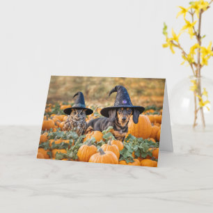Cartão Halloween Engraçado com Coruja e Dachshund