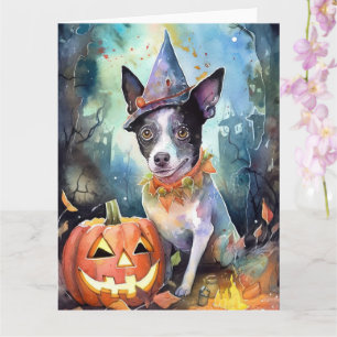Cartão Halloween Gado Australiano Com Abóboras Assustador
