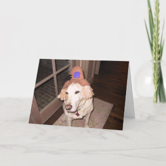 Cartão halloween goosee