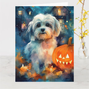 Cartão Halloween Havanese Com Pumpkins Assustado