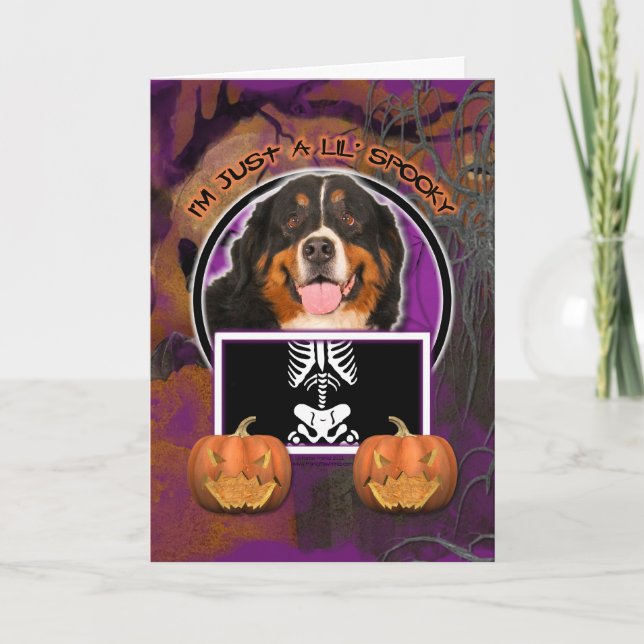 Cartão Halloween -Just a Lil Spooky -Bernese Mountain Dog (Frente)