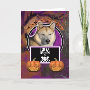 Cartão Halloween -Just a Lil Spooky Siberian Husky Copper
