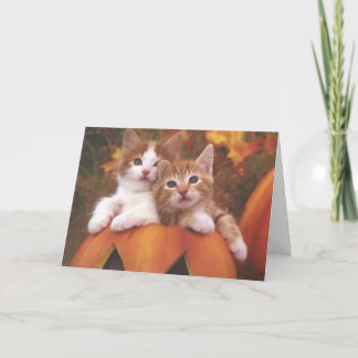 Cartão Halloween Kitties Card