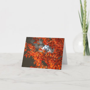Cartão Halloween Night Greeting Card