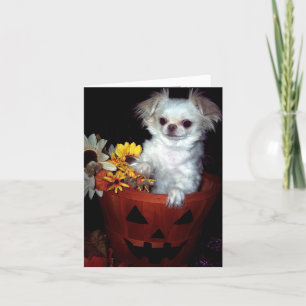 Cartão Halloween Puppy Card