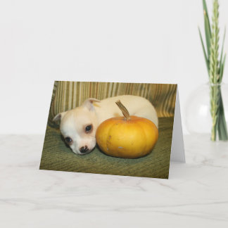 Cartão Halloween Puppy Greeting Card