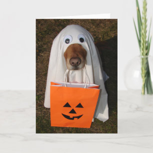 Cartão Halloween Treats with Ghost Dog and Goodie Bag