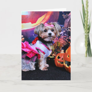 Cartão Halloween - Yorkie - Zoey